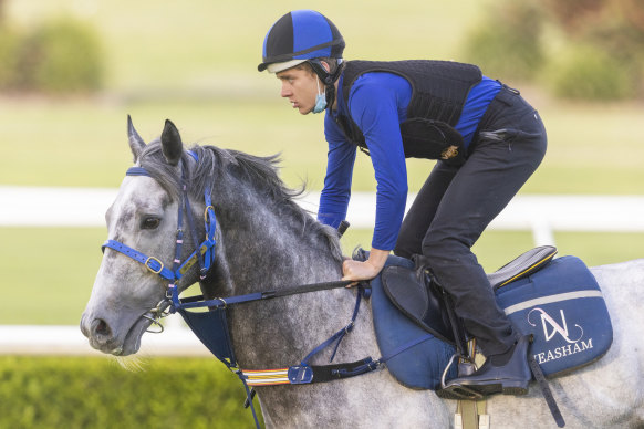 Jockey Brodie Loy will ride Big Dance chance Eaglemont on Thursday.