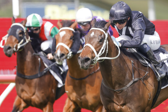 Racing returns to the Kensignton track with a seven-race meeting.