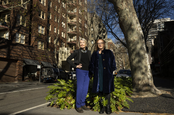 Potts Point Preservation Group members Anne McCormick and Sally Davis want to stop developers ;knocking down older residential blocks for luxury apartments.