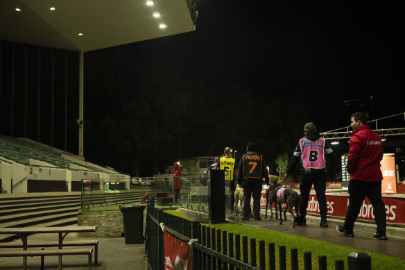 Empty stands at Wentworth Park Greyhound races on Thursday night.