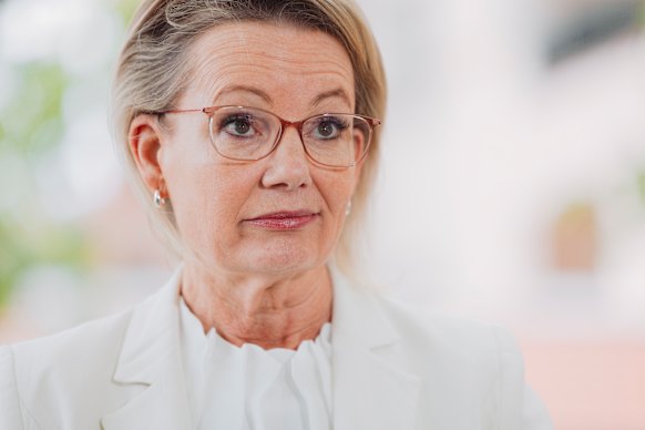 Sussan Ley at a short press conference on Friday.