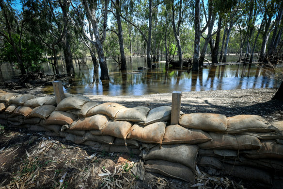 The sandbag wall remains at the caravan park, guarding against the Murray River. 