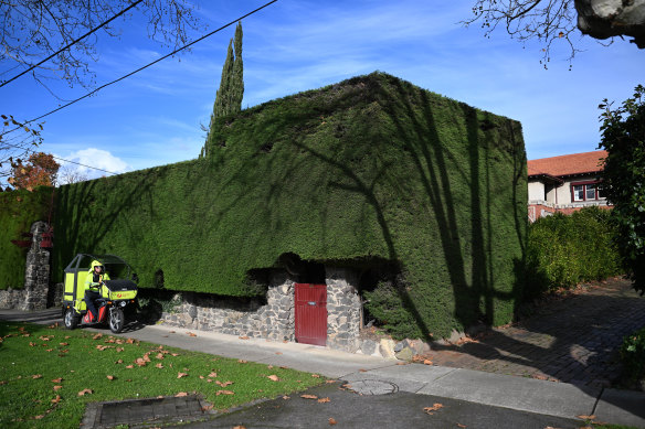 Large hedges are a common sight in Surrey Hills. 