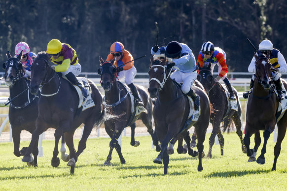 Sam Clipperton (yellow cap) makes it a double for the day with Numerian in the Gosford Cup.
