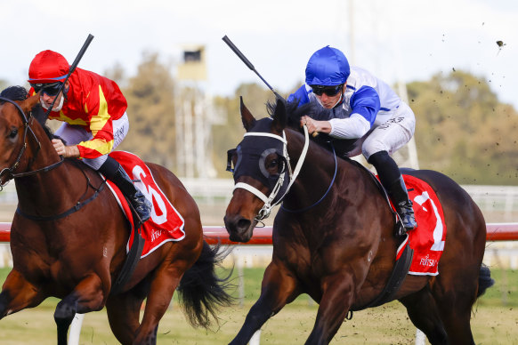 James McDonald and Coastwatch take the Ming Dynasty at Kembla Grange in August.