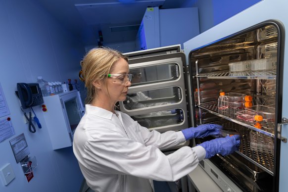 Lifeblood researcher Dr Becky Griffiths has been working on lab-grown blood for about 25-years.