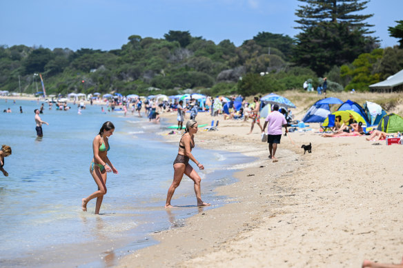 The summertime Sorrento beach shoreline.