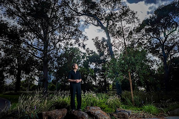 Victoria’s bushfire protocols are operating at peak performance, in part due to the recommendations of Susan Pascoe and others in the Black Saturday royal commission. 