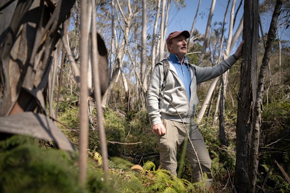 Water scientist Professor Ian Wright in a swamp about 20 metres from houses in Medlow Bath taking samples last year. 