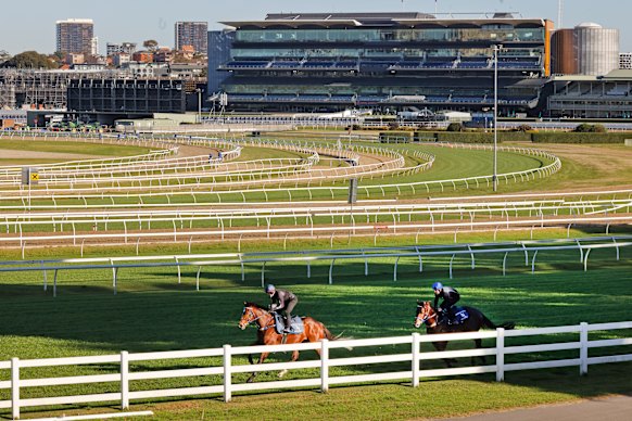 Tommy Berry gets a feel of Mo’unga, which tracks Zaaki  in this track gallop at Randwick last Friday. 