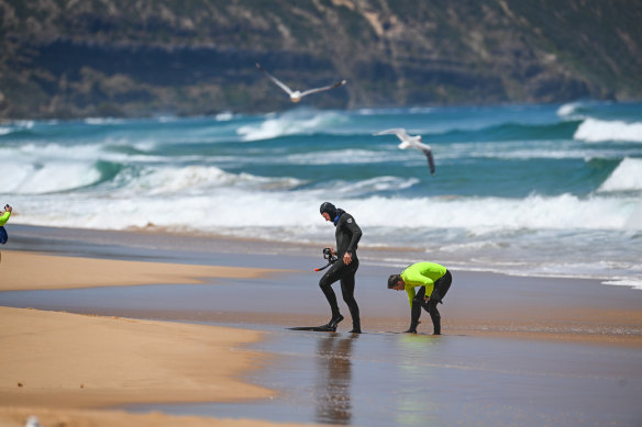 The Gunnamatta surf beach in Fingal, where a teen boy is still missing. 