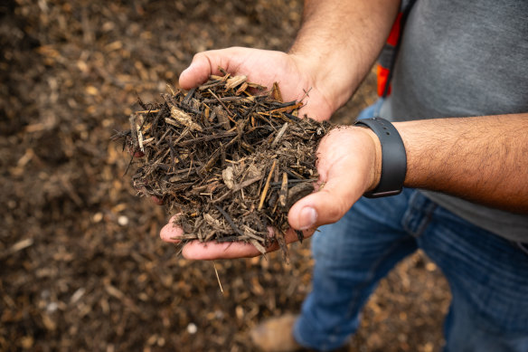 Tonnes of asbestos-contaminated mulch has been scattered across Sydney’s schools, playgrounds and parks, prompting Queensland authorities to carry out tests.