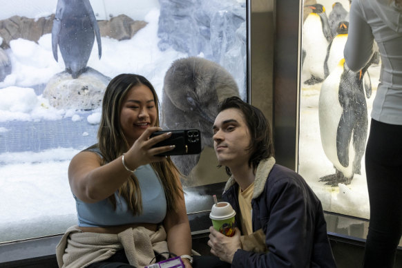 Pesto fans gather for photos at the aquarium. 