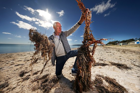 Mornington Peninsula Beach Box Owners president Peter Clarke at Dromana beach this week. 
