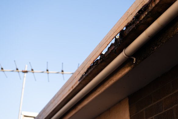 Keep an eye out for rotten guttering.