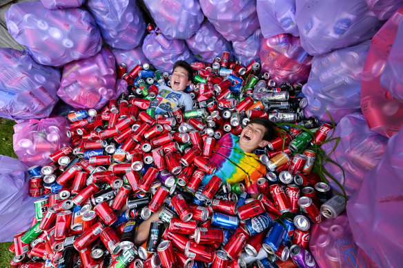 Canny hobby: Brothers Xavier (left) and Ashton Hanson, pictured in November, were planning to collect thousands of cans.