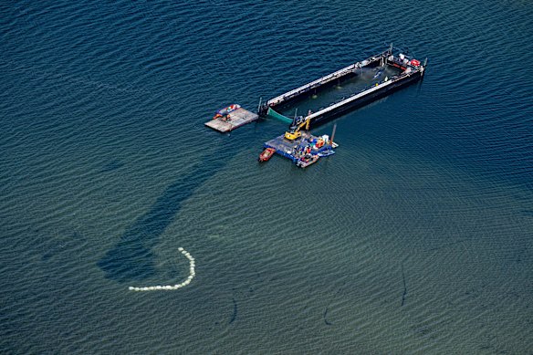 Il giovane maschio è stato guidato attraverso un canale appena dragato su una chiatta piena d'acqua normalmente utilizzata per il trasporto delle navi.