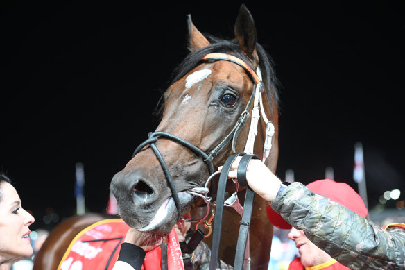 Cleveland after winning the Moonee Valley Gold Cup.