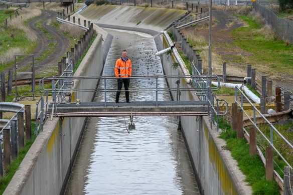 Kris Coventry, acting head of the Western Treatment Plant, stands above the canal where half of Melbourne’s sewage flows. 