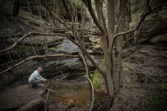 Dr Ian Wright taking water samples at the edge of the wetlands.