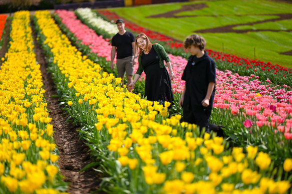 What is the name of this tulip farm?