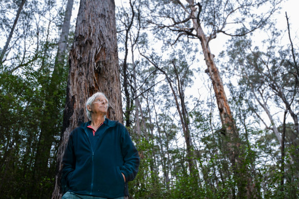 Garry Squires is a forestry consultant, devastated for what the end of native logging will mean for Orbost.