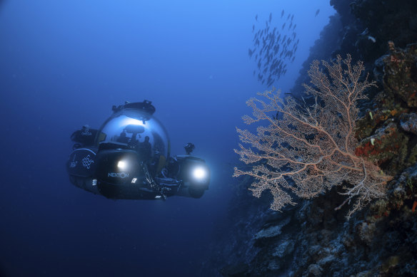 Scientists in a deep sea submersible examine the health of coral reefs off the coast of the Maldives in 2022.