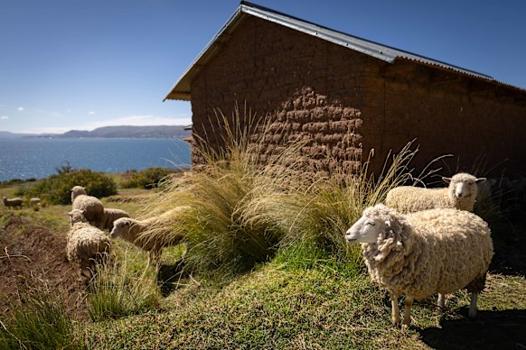 Lake views from the village of Luquina.