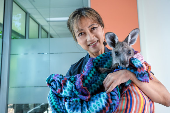 Dr Elaine Ong with orphan joey Archie.