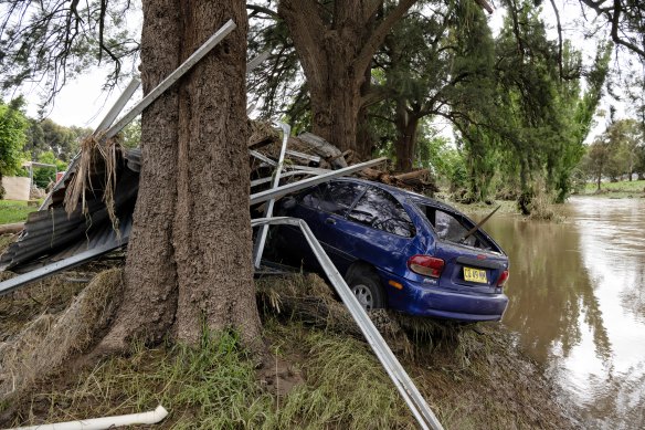 A vehicle is seen wrapped around a tree on a riverbank near Cowra.