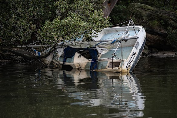 A dumped sail boat is washed up in the mangroves at Tambourine Bay on the Lane Cove River.