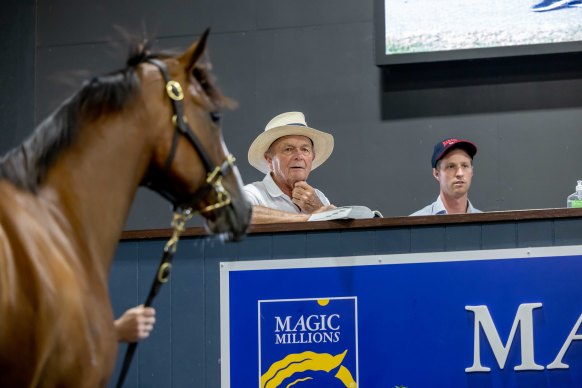 Gerry Harvey watches on at day one of last year’s Magic Millions sales.