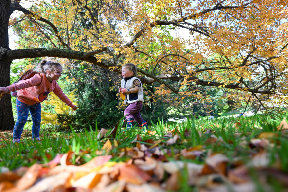 Sophie and Alex play in the leaves at the Royal Botanic Gardens in Melbourne. 