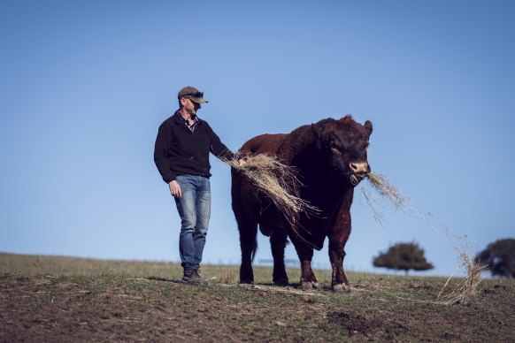 Holmberg says farmers across western Victoria are being forced to buy hay and grain to feed their livestock.