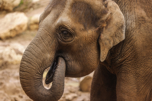 Mali, 12, is the youngest of the expecting mothers. 