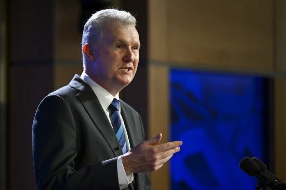 Employment and Workplace Relations Minister Tony Burke address the National Press Club today.