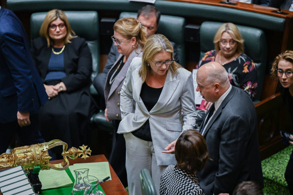 Premier Jacinta Allan and Treasurer Tim Pallas in parliament. 