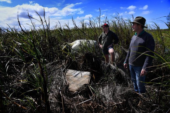 Richmond River cane farmers, Geoff Pye and son Max from Coraki, inspect debris in drowned cane farms after the Lismore floods. 