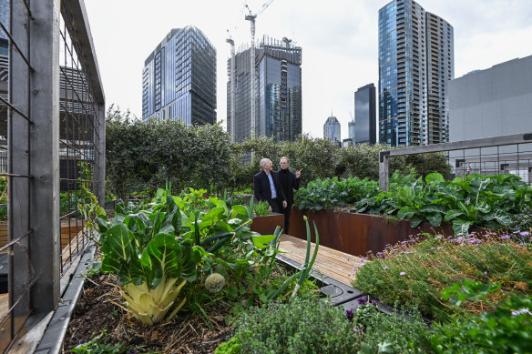 Visitors inspect SkyFarm in August this year.