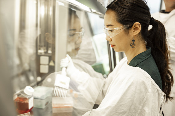 PhD student and venom researcher Tian Du in a lab at Charles Perkins Centre, the University of Sydney.