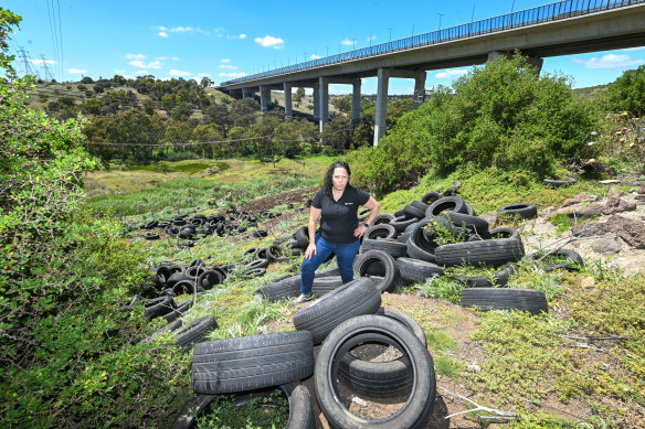 Tyre Stewardship Australia CEO Lina Goodman stands among hundreds of old tyres that have been dumped beneath the EJ Whitten Bridge.