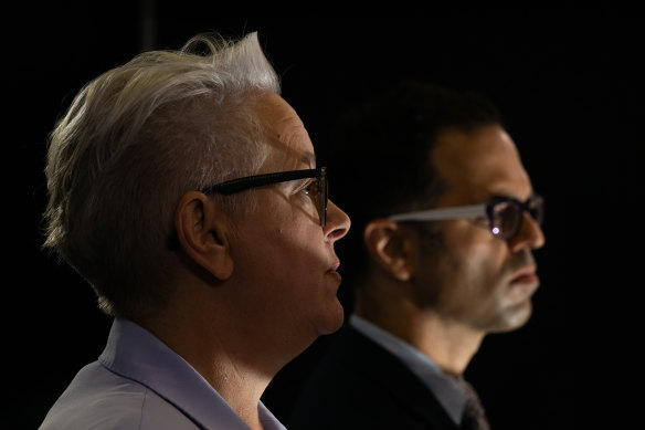 NSW Environment and Energy Minister Penny Sharpe and Treasurer Daniel Mookhey at Thursday’s press conference.