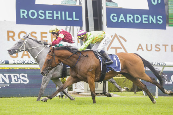 Race six selection Fantastic Baby runs second to Achira in a Midway at Rosehill on Golden Slipper day last year.