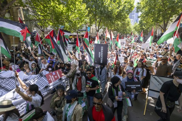 A Free Palestine rally in the Melbourne CBD last December.