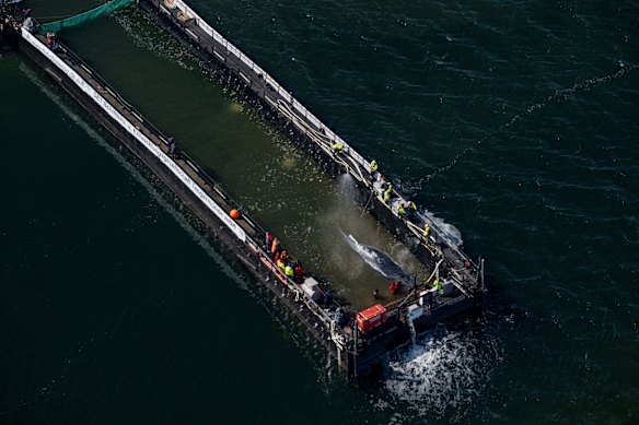 La chiatta è stata poi rimorchiata nel Mare del Nord, con la balena rilasciata a 70 chilometri dalla costa di Skagen, in Danimarca.