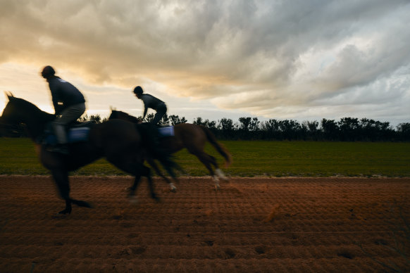 Danny O’Brien relies on high-tech tracking technology and professional data analysts to collect information about the training loads and provide an early warning of something they might otherwise miss.