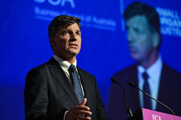Shadow Treasurer Angus Taylor.