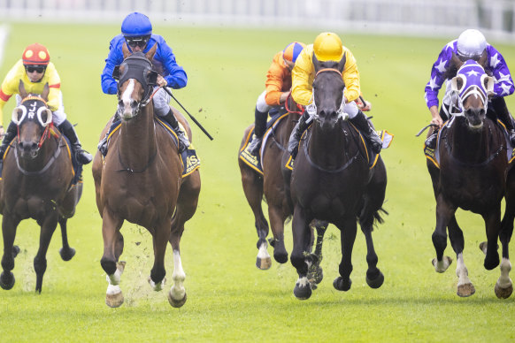 Racing heads to Port Macquarie on Sunday.
