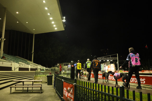 It was business as usual at Wentworth Park on Thursday night.  But for how long?