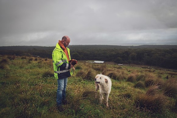 Zac Jeffries with his Maremma sheepdog. 